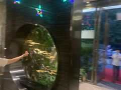 -东颖龙肥牛王(绵阳店)