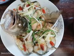 -阿姨来了家政·育儿嫂养老(远洋商务店)