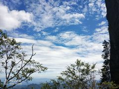 -秦岭天竺山景区