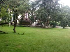 android_upload_pic-西昌邛海宾馆