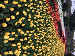 上海鲜花港-上海鲜花港