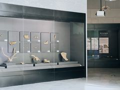 -北京周口店北京人遗址博物馆