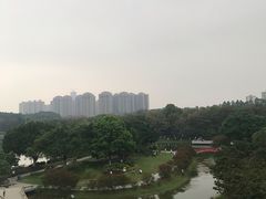 -东莞植物园
