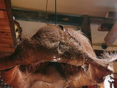 -泥糊破店小酒馆·团建聚餐(南京西路店)