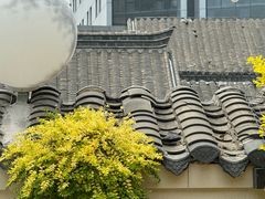 -IFIF 如果花園(宽厚里店)