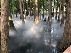 -东湖落雁景区