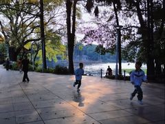 -荔湾湖公园