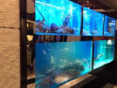 -金悦轩海鲜酒家(银河店)