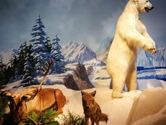 -陕西自然博物馆