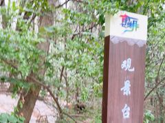 -云龙山