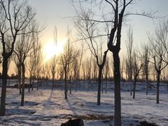 -东郊湿地公园