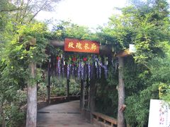 -雪山彩虹谷景区