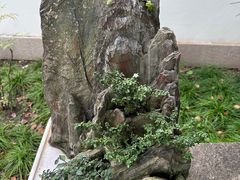 -上海醉白池公园