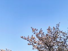 -青麦家·融合餐厅(江岛智立方店)