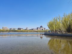 -莲花池公园