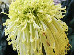 -上海市龙华烈士陵园