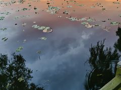 -长春市南湖公园