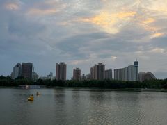 -莲花池公园