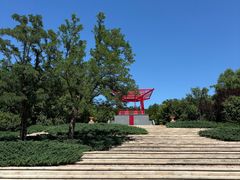 -大望京公园