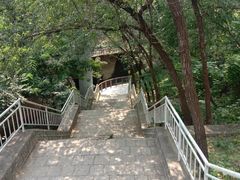 -白水寺森林公园