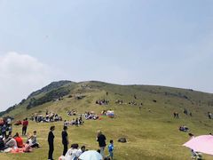 -大姆山草场