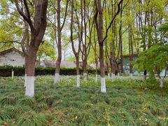 -瀛洲公园