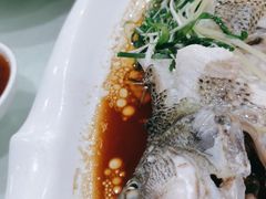 -华南师范大学石牌校区陶园
