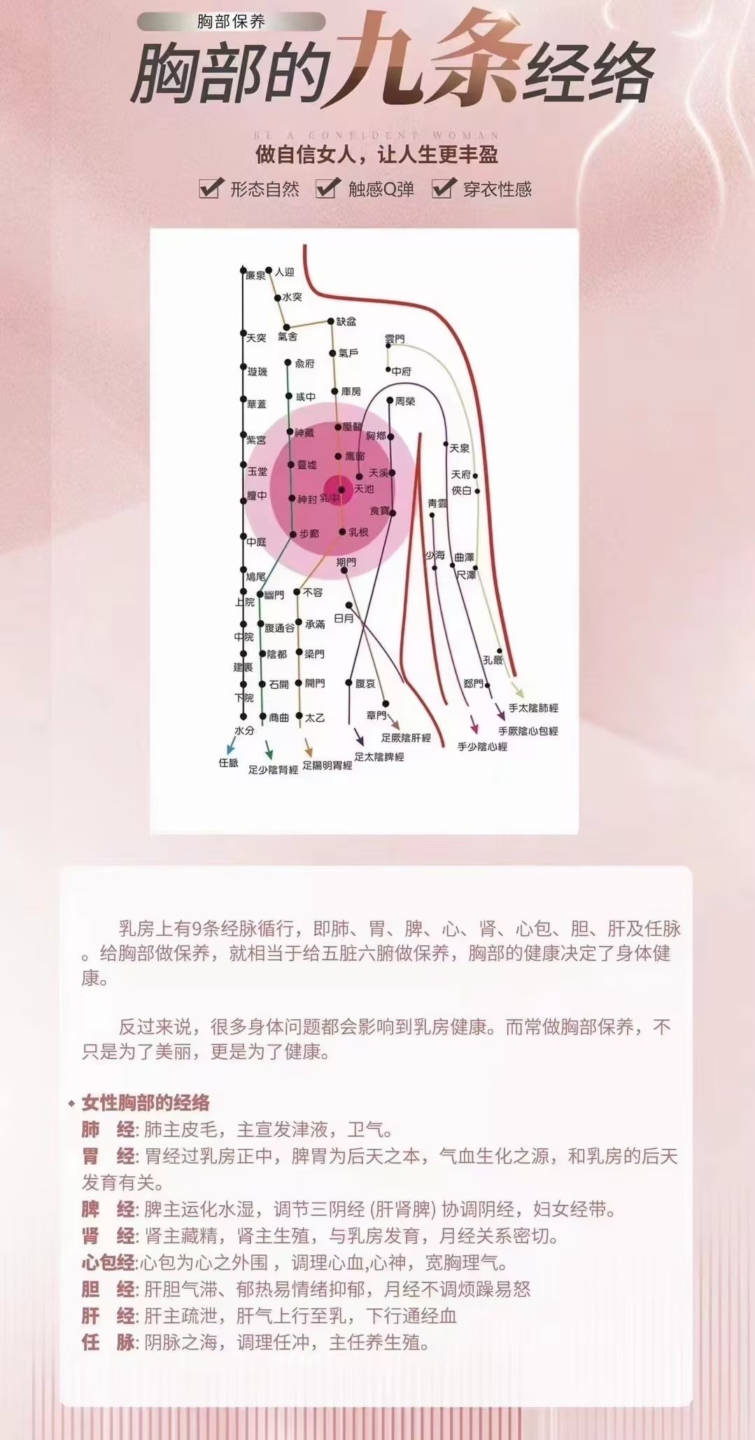 乳房九大经络位置图图片