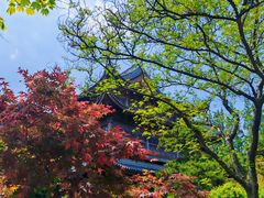 -龙华寺