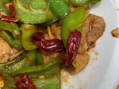 尖椒肥肠-方城小吃店