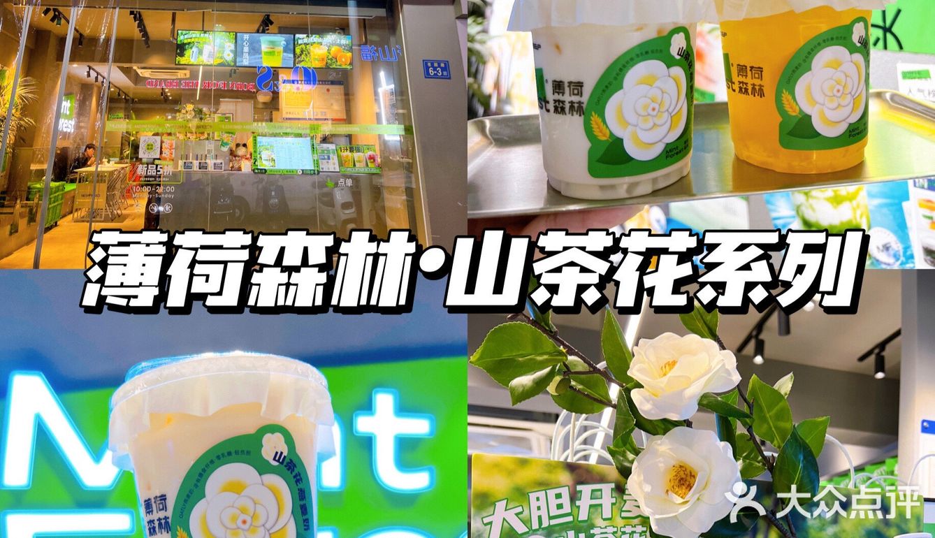 漳州探店 | 我的冬天不能没有「薄荷森林」❗