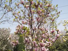 -石家庄市动物园