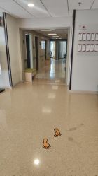 -北京新世纪妇幼医院·产检·分娩·计生(望京院区)