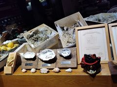 -普朗姆生蚝吧(原建国路店)
