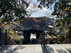 -成田山新胜寺