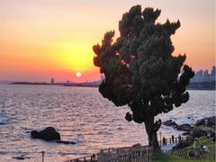 -小麦岛公园