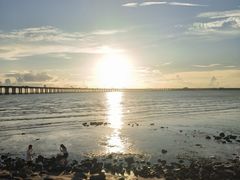 -宝安西湾红树林湿地公园