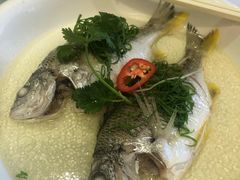 古法盐水蒸黄立鱼-山泉公馆酒家(珠江新城店)