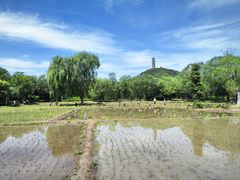 -北坞公园