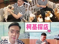 -柯斗斗主题餐厅·狗咖·围炉煮茶·茶饮(国瑞升平里店)