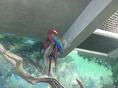 -福州罗源湾海洋世界旅游区