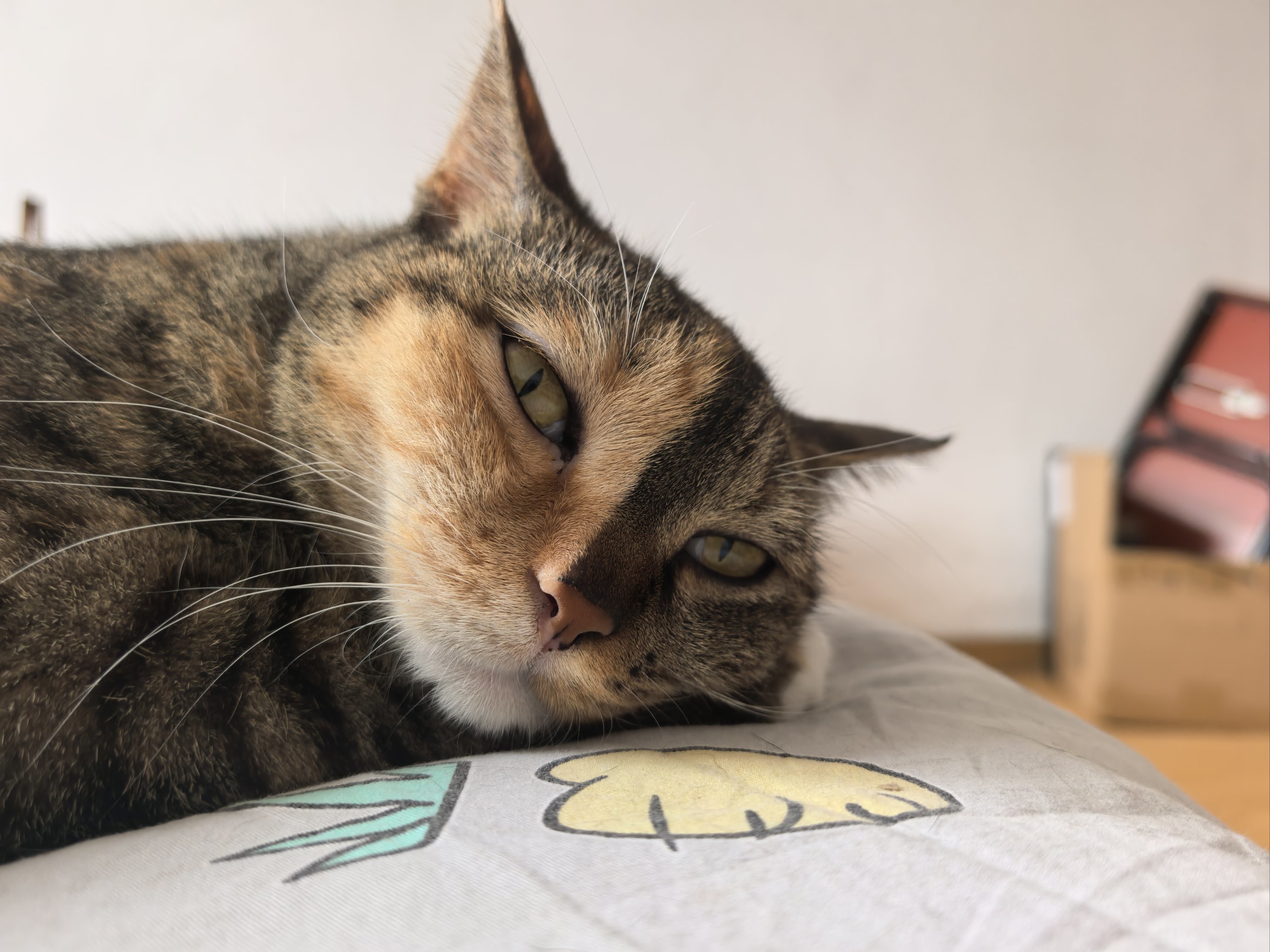 五一节合肥1日出游路线