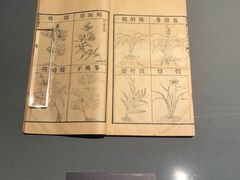 -四川大学博物馆