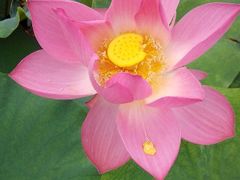 android_upload_pic-宝泉胜境旅游度假区