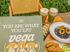 -VEGA VEGA 我行我素