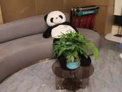 -金紫薇酒店(成都春熙路步行街店)