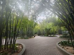 -晓港公园