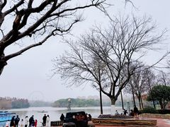 -上海野生动物园