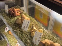 -滇野云南野生菌餐厅(陕西南路店)