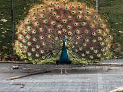 -福建鲤鱼洲酒店